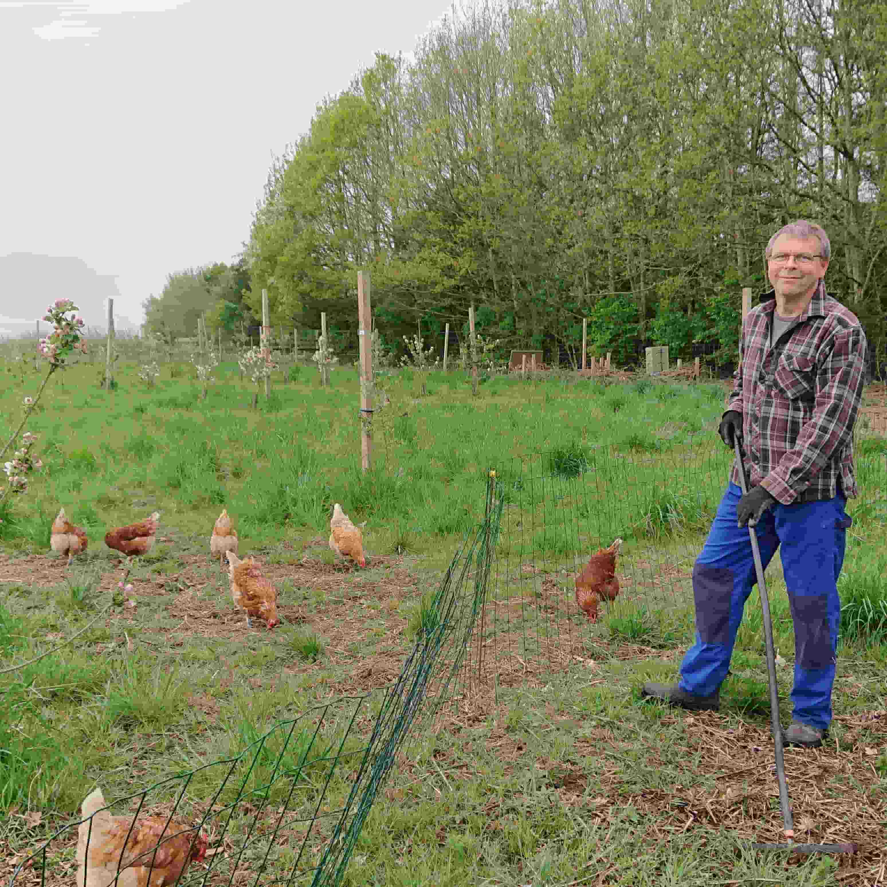 På frugtplantagen hos Vivis Pryd har vi blandt andet æbletræer.